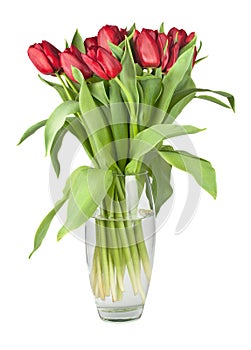 Bouquet of red tulips in a glass vase