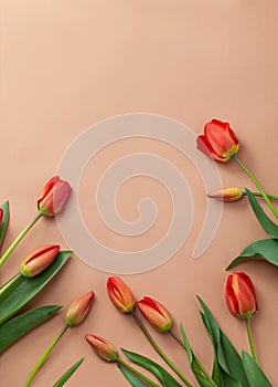 Bouquet of red tulips with kraft green envelope  on a natural beige color background. Mother`s Day, Easter, Valentine`s Day.