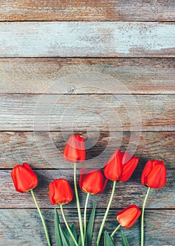 Bouquet of red tulips on light blue wooden retro grunge background with copy space