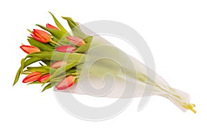 Bouquet of red tulips in  the package,  flowers in plastic wrap,