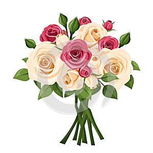 Bouquet of red and white roses. Vector illustration.