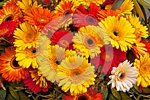 Bouquet of red and yellow gerberas.