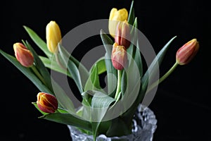 Bouquet of red and yellow Tulip flowers with water drops in a glass crystal vase on a black background, selective focus