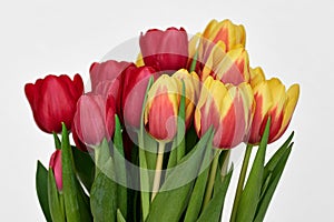 Bouquet of red and yellow tulips isolated on white