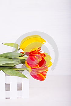 Bouquet of red and yellow tulips on white wooden background