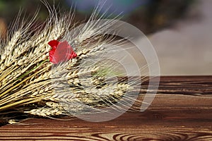 Bouquet of ripe Golden wheat heads and red poppy flower lying on