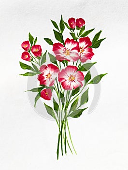 Bouquet of rose flowers in acrylic on a white background.   Floral background or postcard