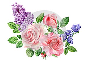 Bouquet of rose, lilac, bell flowers, isolated white background, watercolor botanical painting