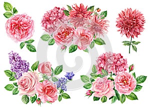 Bouquet of rose, lilac, dahlia flowers, isolated white background, watercolor botanical painting