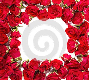 Bouquet of roses arranged to form a frame or design element for floral themes