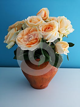 Bouquet of roses in a clay vase on a blue background