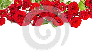 Bouquet of roses - element for floral themes.