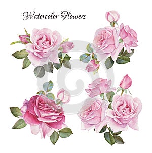 Vector bouquet of roses. Flowers set of hand drawn watercolor roses photo