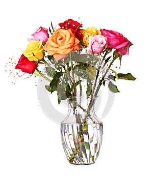 Bouquet of roses flowers in vase isolated on white background