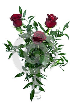 Bouquet of roses isolated