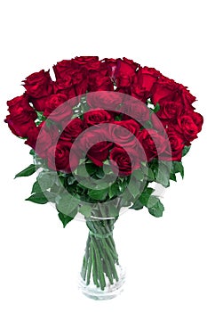 Bouquet of roses isolated