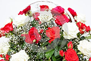 A bouquet of roses. Red and white roses