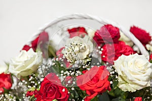 A bouquet of roses. Red and white roses i garden