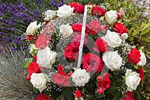 A bouquet of roses. Red and white roses i garden