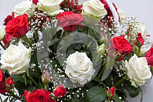 A bouquet of roses. Red and white roses i garden