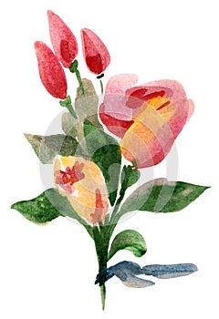 Bouquet of roses and tulips