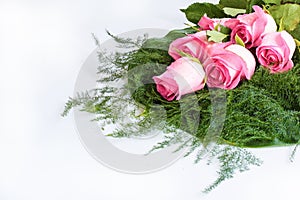 Bouquet Roses for valentine day, on white background