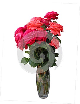 A bouquet of roses in a vase.