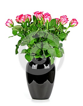 A bouquet of roses in a vase on a white background