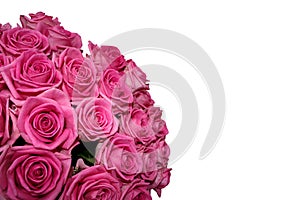 Bouquet of roses on a white background