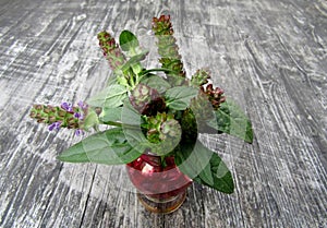 Bouquet of selfheal woundwort flowers in pink glass vase.