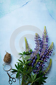 Bouquet of simple blue flowers. Still Life with Lupine. Selective focus.Top view.Copy space