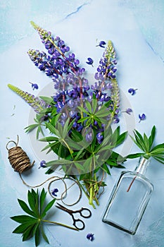 Bouquet of simple blue flowers. Still Life with Lupine. Selective focus.Top view.Copy space