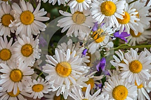 A bouquet of simple wild flowers.