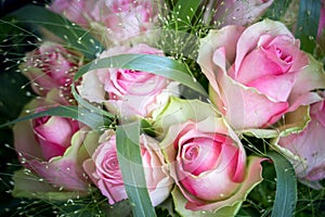 Bouquet of small flowered roses