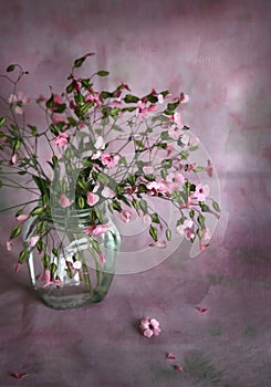 Bouquet of small pink flowers