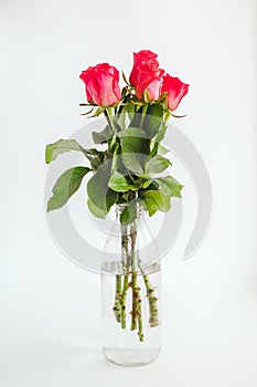 bouquet of small roses in a transparent vase nab white background