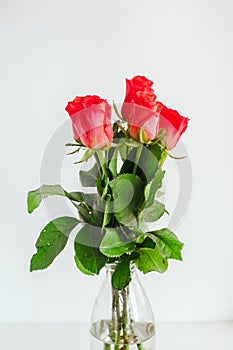 bouquet of small roses in a transparent vase nab white background