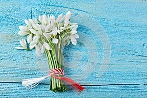 Bouquet of snowdrops on a blue background. gift for March 8, mother`s day