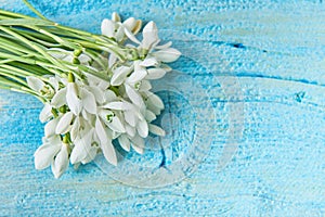 Bouquet of snowdrops on a blue background. gift for March 8, mother`s day