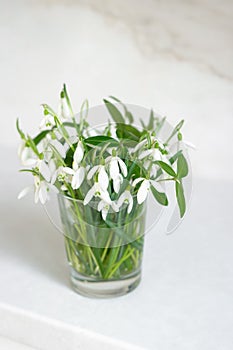Bouquet of snowdrops in glass on white background