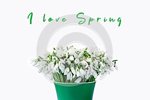 Bouquet of snowdrops in a green pot on a white background is insulated. Creative spring concept