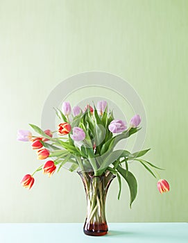 Bouquet of spring beautiful tulip flowers on soft pastel background