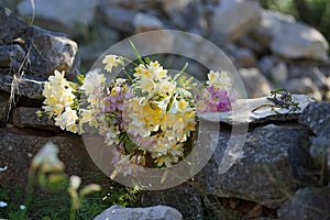 Bouquet of spring Dalmatian flowers