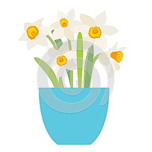 Bouquet of spring flowers daffodils in flower pot isolated on white background. EPS10