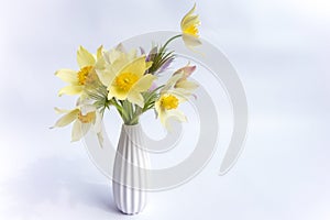 Bouquet of spring flowers. Delicate snowdrops in a white vase on a white background.