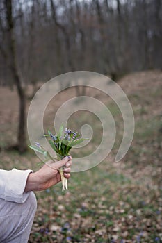 A bouquet of spring flowers held in the hand by woman in spring