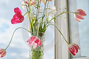 Bouquet of spring flowers tulips and white daffodils in vase on the window