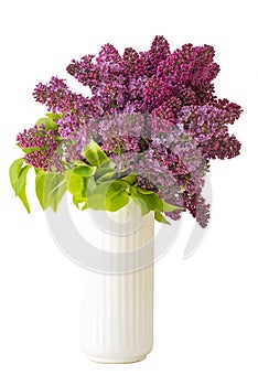 A bouquet of spring lilac flowers in a white vase . isolate