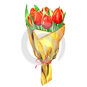 Bouquet of spring red tulips flowers wrapped in brown craft paper with red ribbon, gift for present, isolated, hand