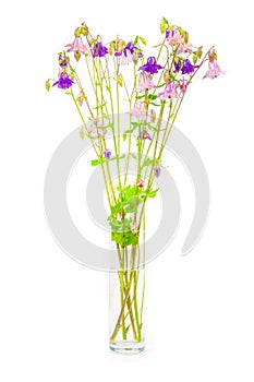 Bouquet of spring or summer purple and pink flowers in a glass vase close-up on a white